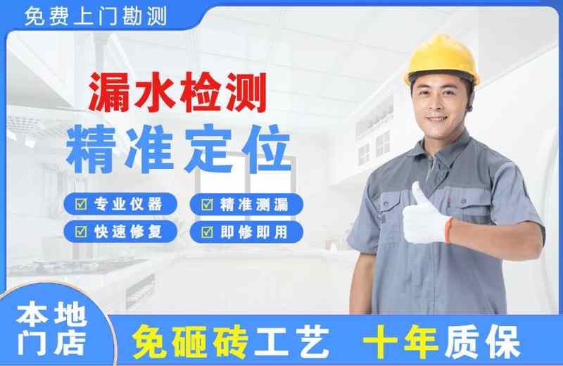 月湖漏水检测精准定位